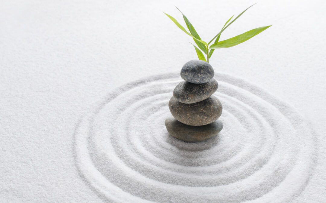Psicoalimentazione®: il benessere nasce dall’equilibrio tra corpo, mente ed emozioni