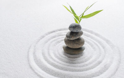 Psicoalimentazione®: il benessere nasce dall’equilibrio tra corpo, mente ed emozioni