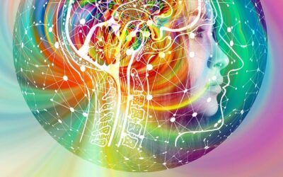 Microbiota e serotonina intestinale: il legame tra intestino, sistema nervoso e benessere